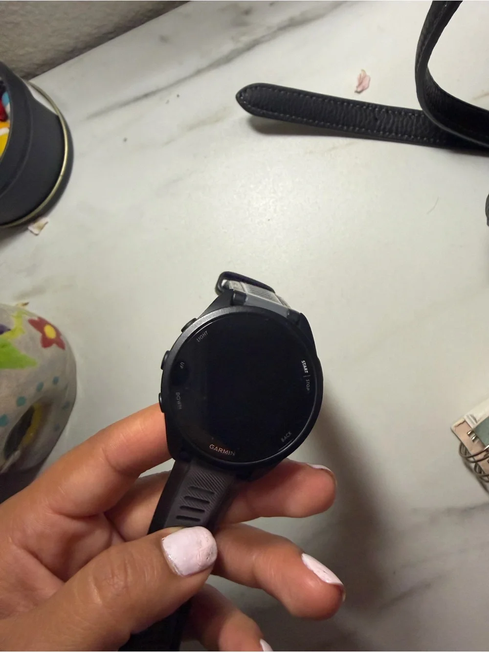 Garmin 165